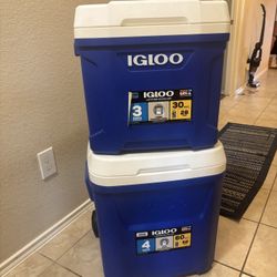 Igloo Coolers