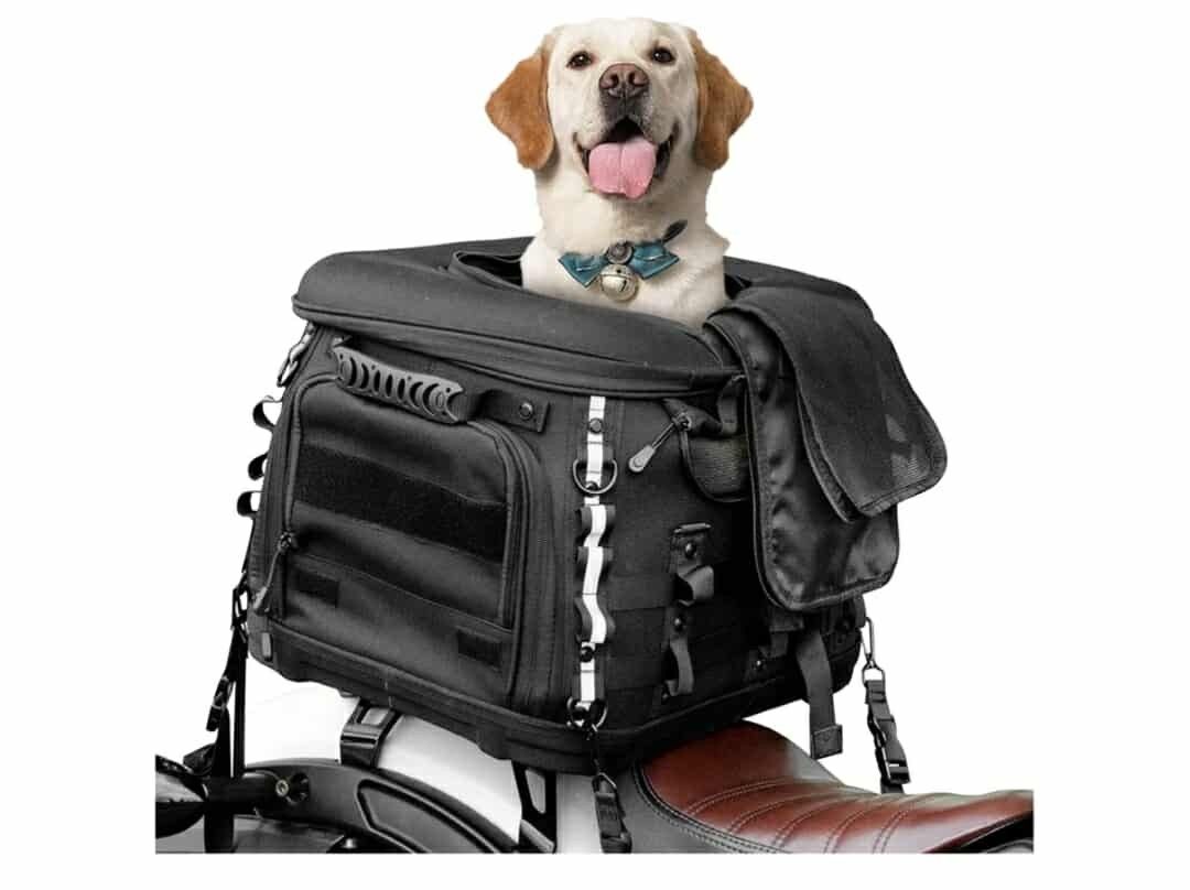 New Goldfire Motorcycle Dog/Cat Carrier, Portable Pet Carrier Voyagers Dog Carrier Crate for Street Glide Road King with Luggage Rack or Sissy B