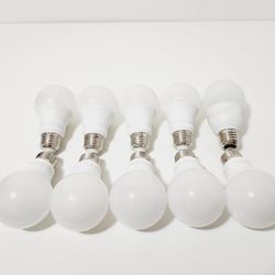 Pack of (10) Medium LED Bulbs 

