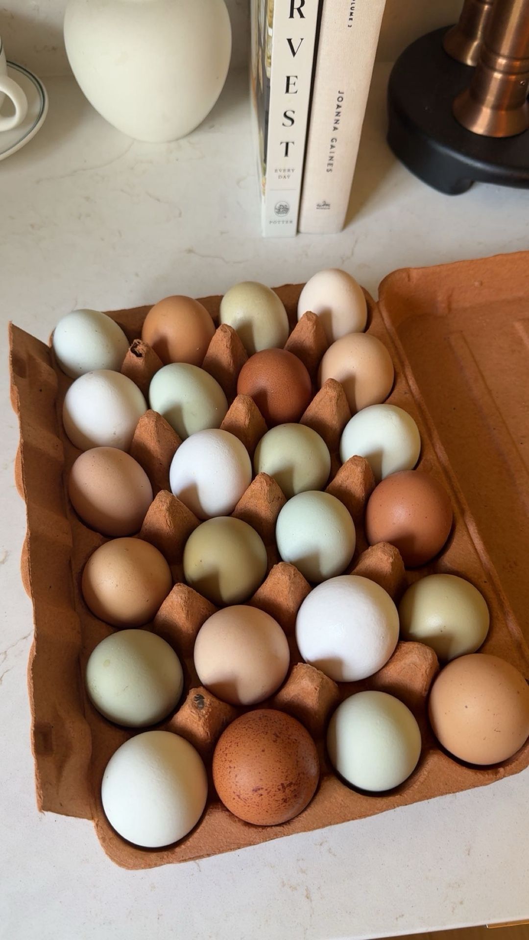 pasture raised chicken eggs