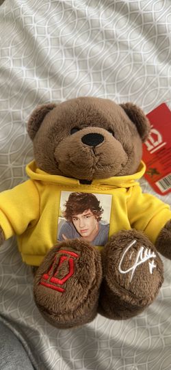 Liam Payne Bear