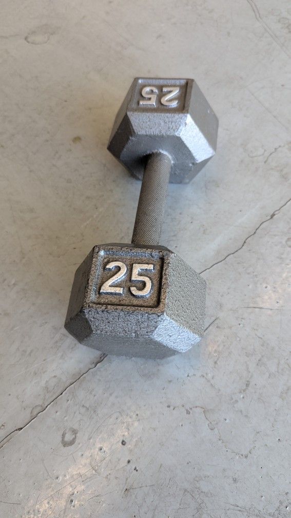 25 Pound Metal Weight