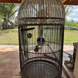 Beautiful Bird Cage 
