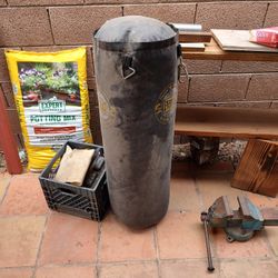 Punching Bag 
