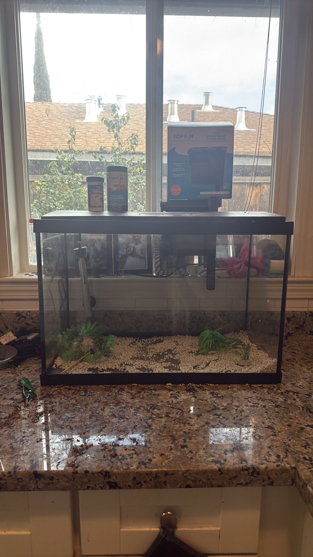 20 gallon fish tank with everything