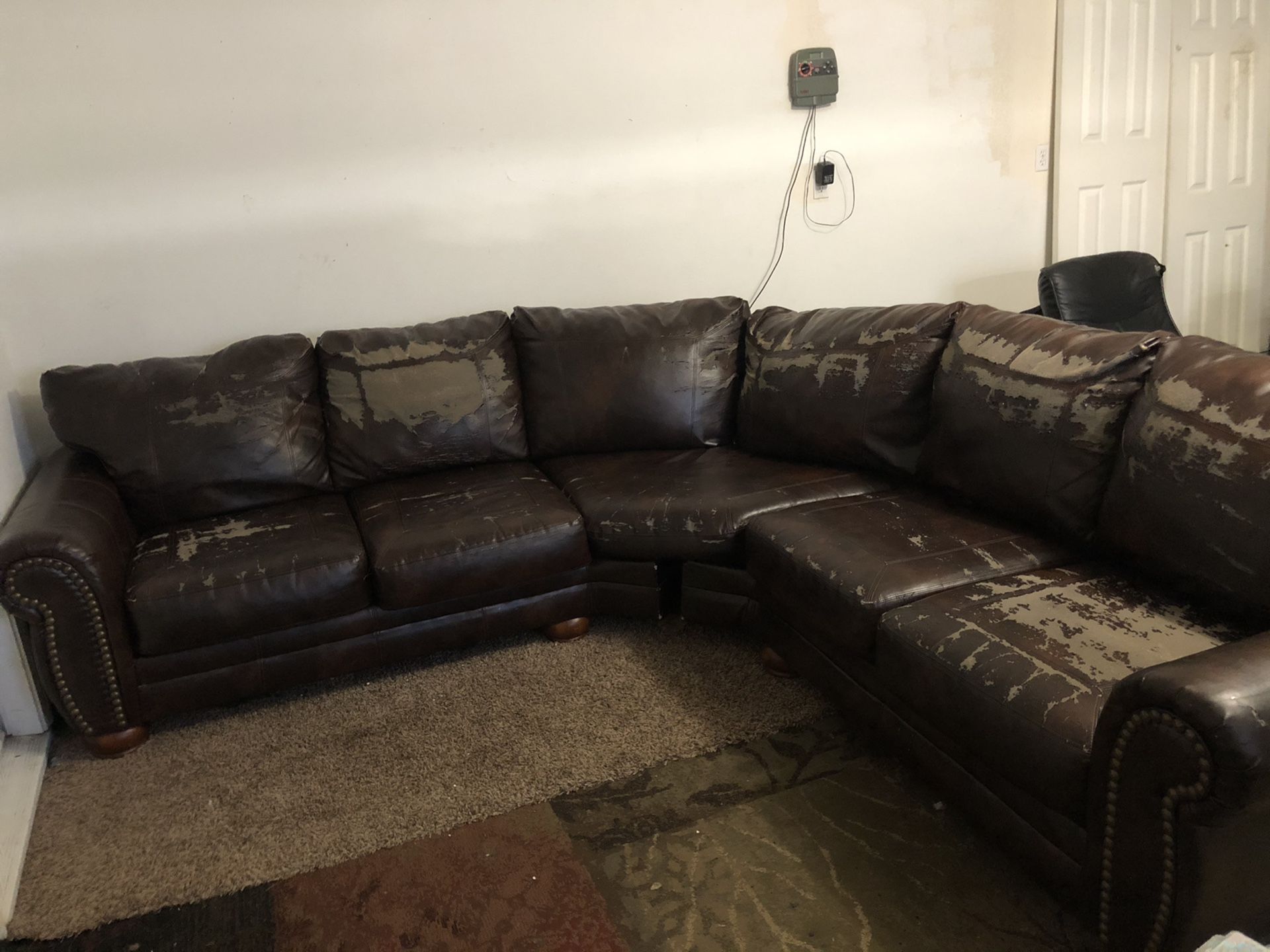 Free Sectional Couch