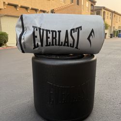 Everlast Punching Bag