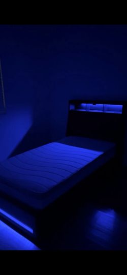 Twin Led Bed