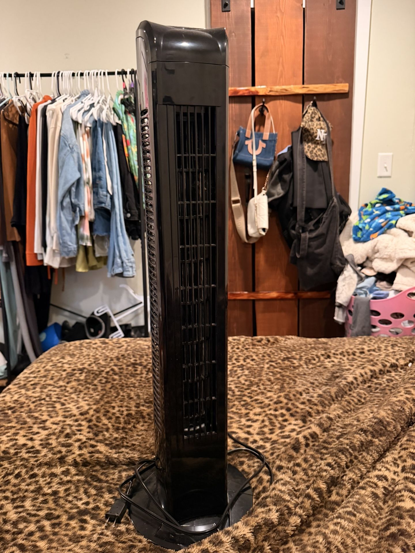 Fan