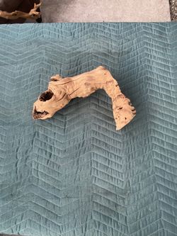 Reptile Accessories