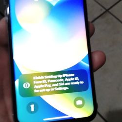 iPhone X 256gb