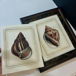 Vintage-Style Framed Seashell Prints – Set of 2