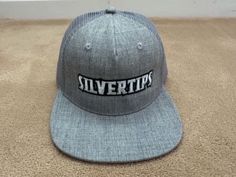 Everett Silvertips Hockey Gray Mesh Snapback Hat - NEW
