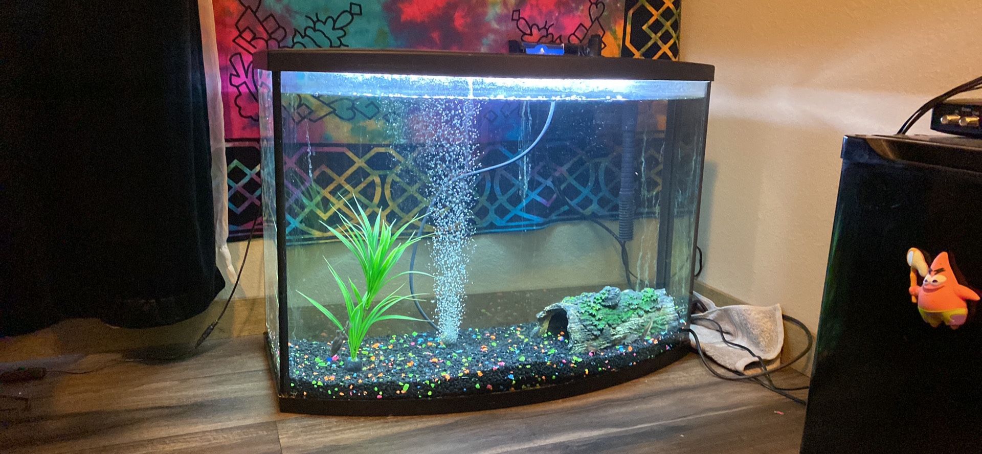 35-40 Gallon Bowed Fish Tank