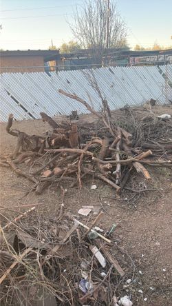 Free mesquite
