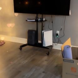 65 Inc Vizio With Mobile Tv Stand