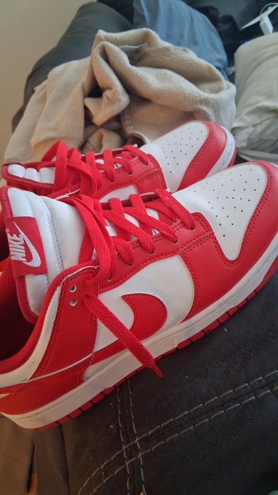 Nike Dunks Size 9 Mens