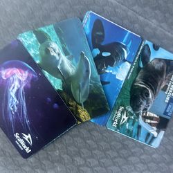 Seaworld Fun Cards