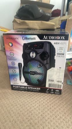 Portable speaker with usb /fm radio