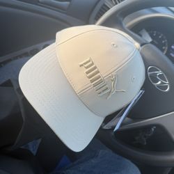 Puma Evercat Gains Stretch Fit Cap