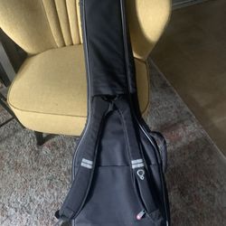 Bass Heavy Padded Gig Bags