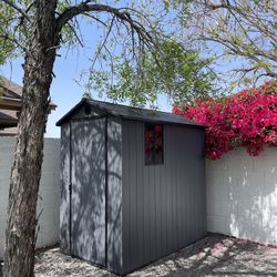 Shed Assembly 