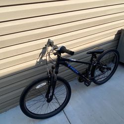Trek Boys Bike