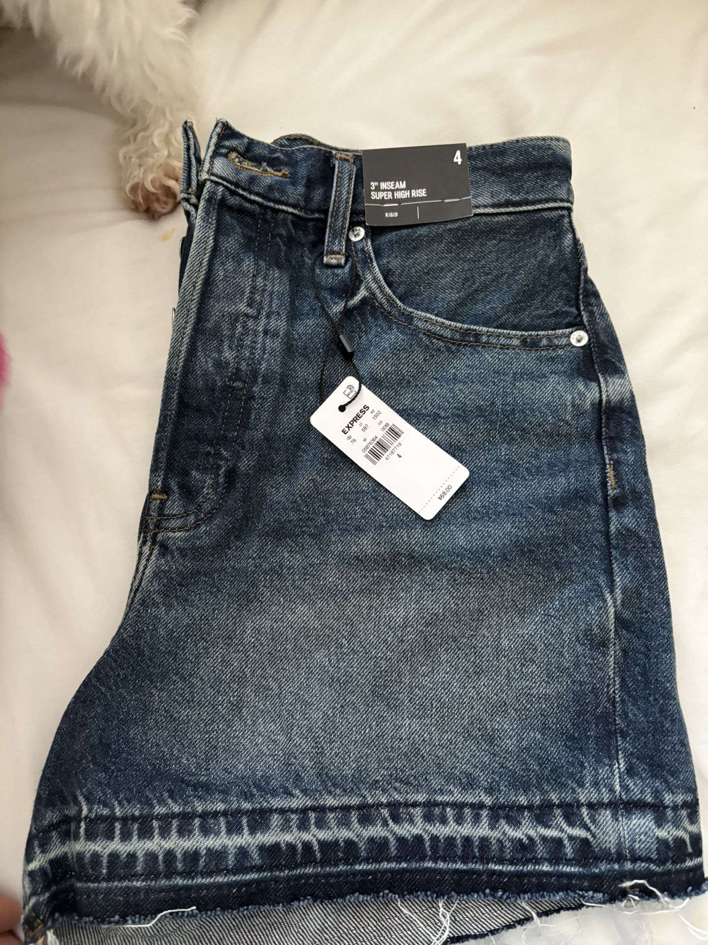 Women’s Express Jean Shorts 