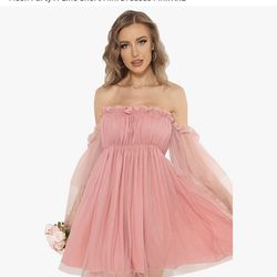 Halfword Flounce Long Sleeve Ruffle Dress for Women Off Shoulder Mesh Party A-Line Short Mini Dresses Pink XXL