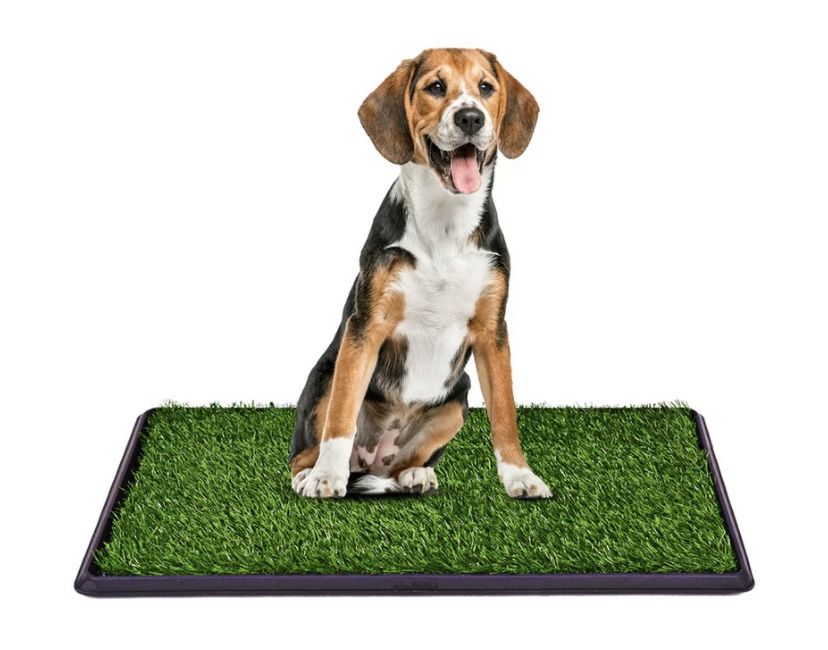 Dog Potty And Pet Training Mat Turf Patch
