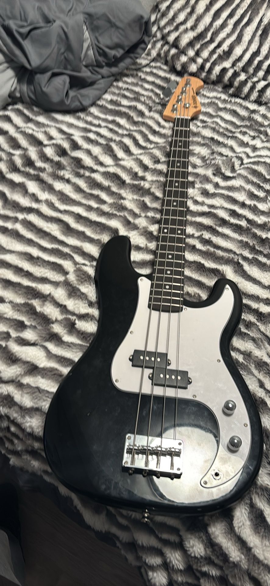 electric bass guitar 