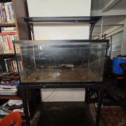 40 gallom fish tank with stand