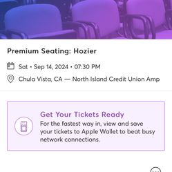 Hozier 4 - Concert Tickets - 9/14/2024. Box Seats 