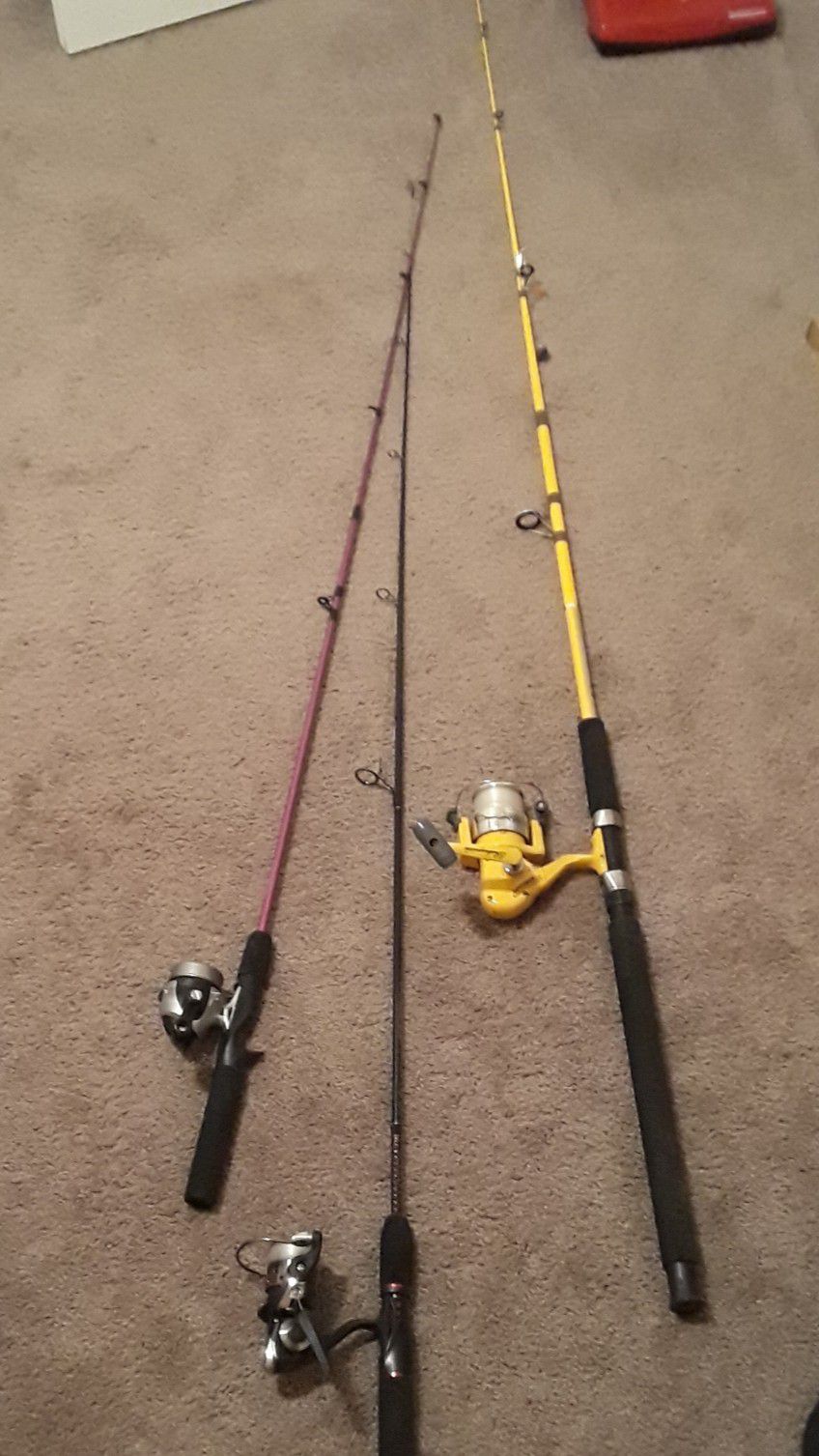 Fishing Pole Rod And Reel Set Of Three Shakespeare STerraSS, Ugly Stick And  One Child Fishing Pole for Sale in San Marcos, TX - OfferUp