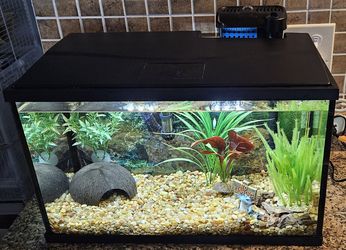 All Inclusive Fish Tank!