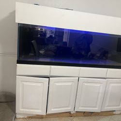 125 Gallon Fish Tank 