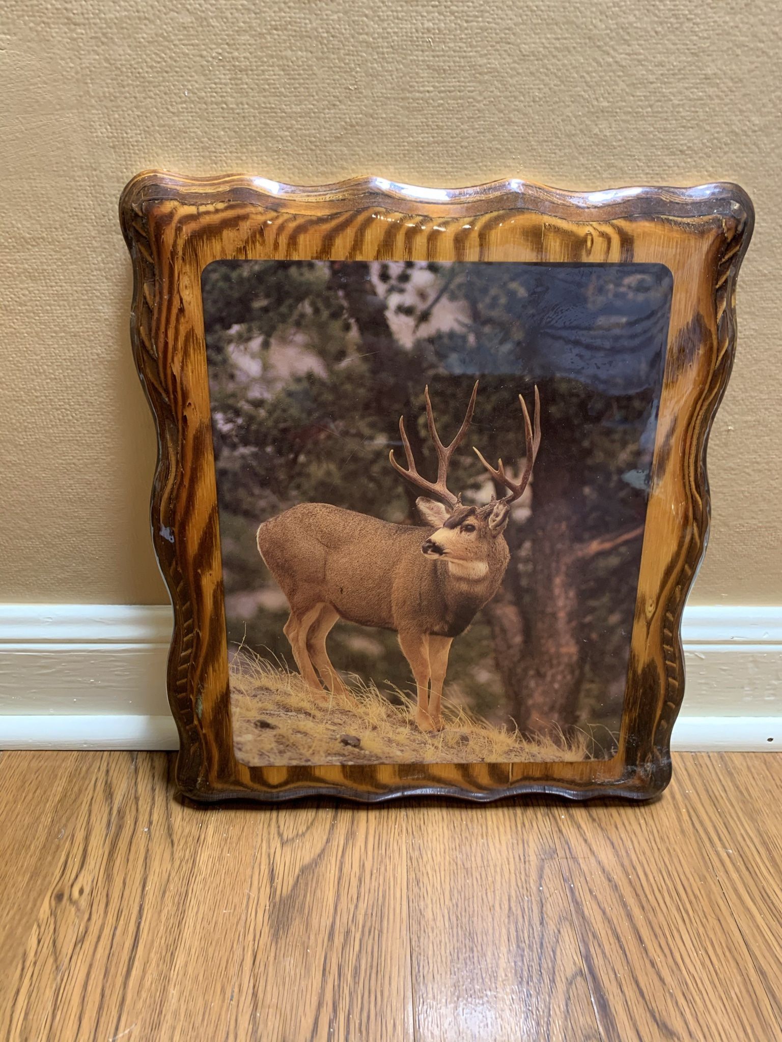 Deer Picture Decor!
