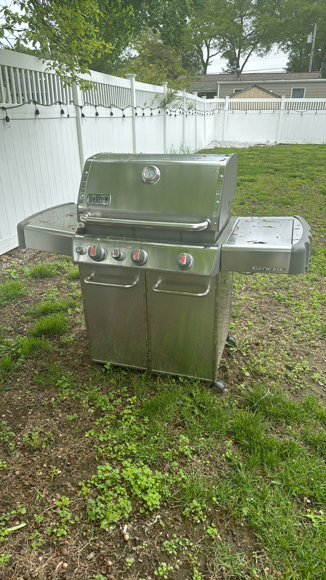 Weber Grill