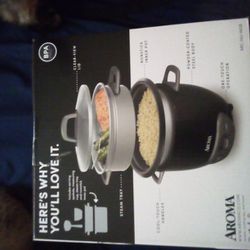Aroma Rice And Grain Cooker And Meat And Fish Steamer