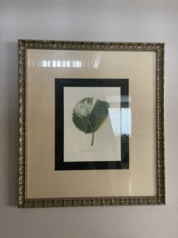 Drawing Of Lilipad With Glass And Frame Included