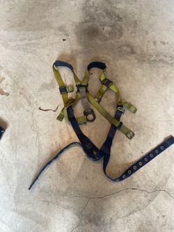 Aerial Safety Harness