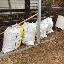Horse Manure 