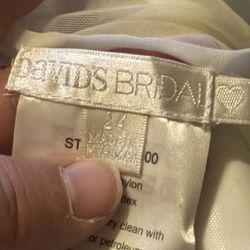 Sheer Top From David’s Bridal 