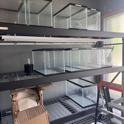 10 Gallon Fish Tanks 