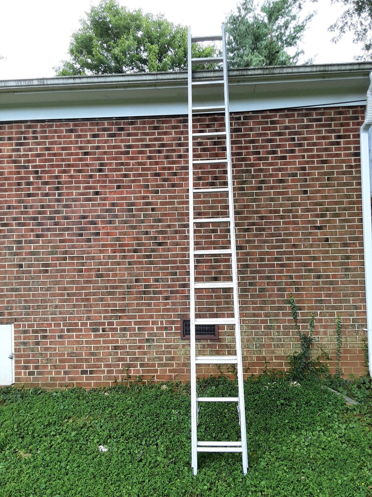 Werner 28ft ladder