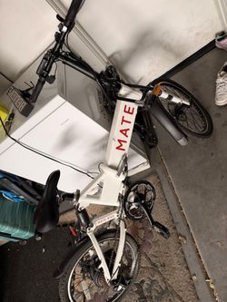 Mate X E Bike