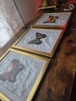3 pc set of homemade butterfly pictures