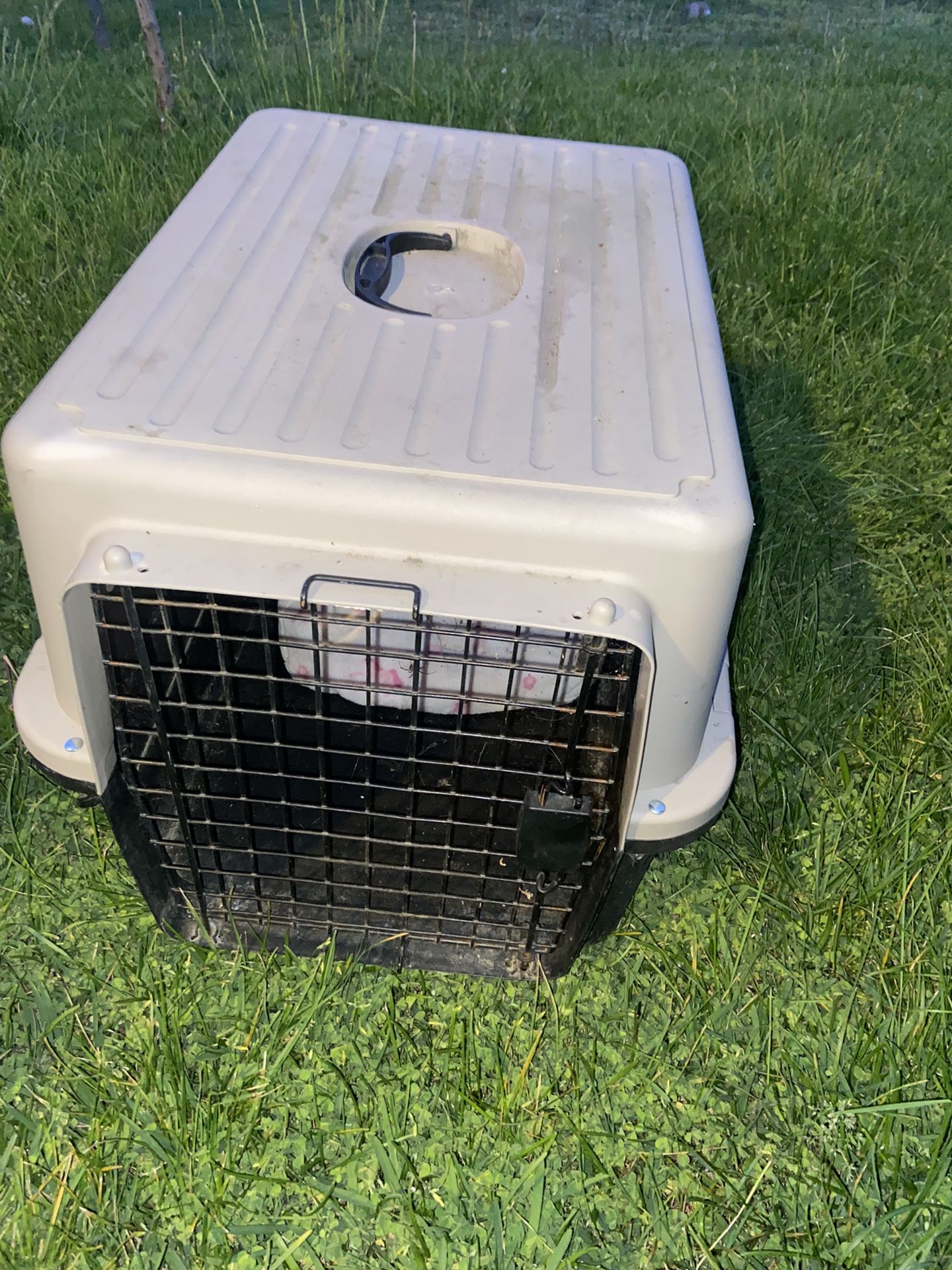Pet Carrier