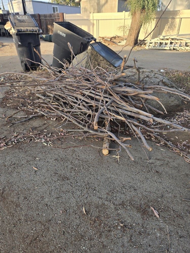 Wood, Firewood