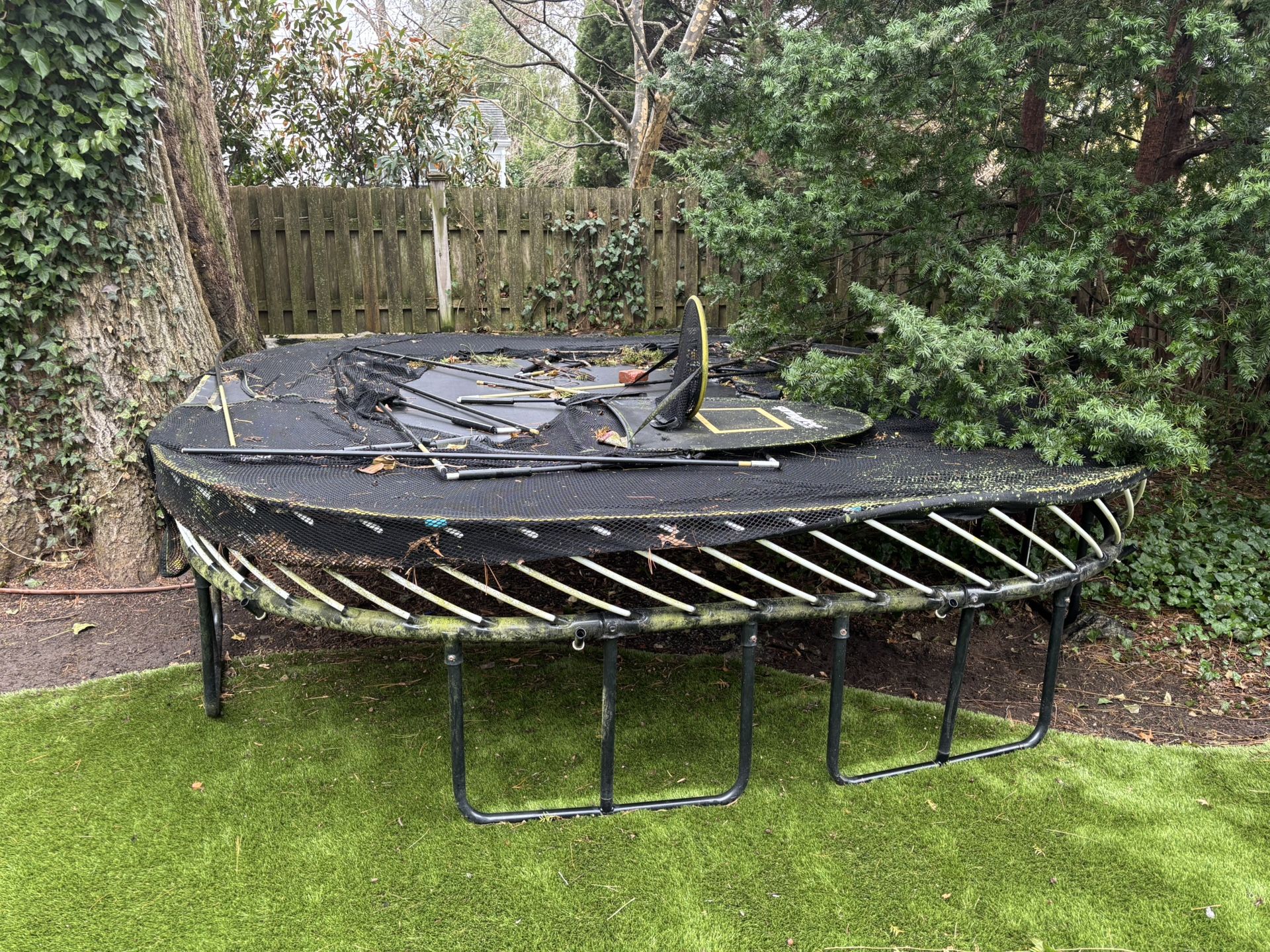 Trampoline